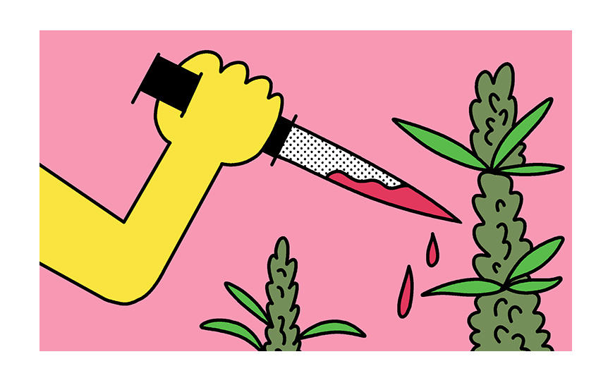 legalization nation 291 preview