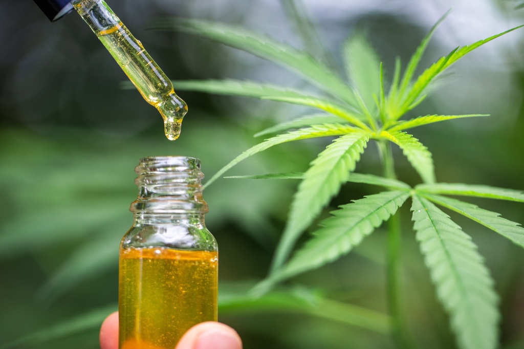 cannabis oil and leaves cbn market growth