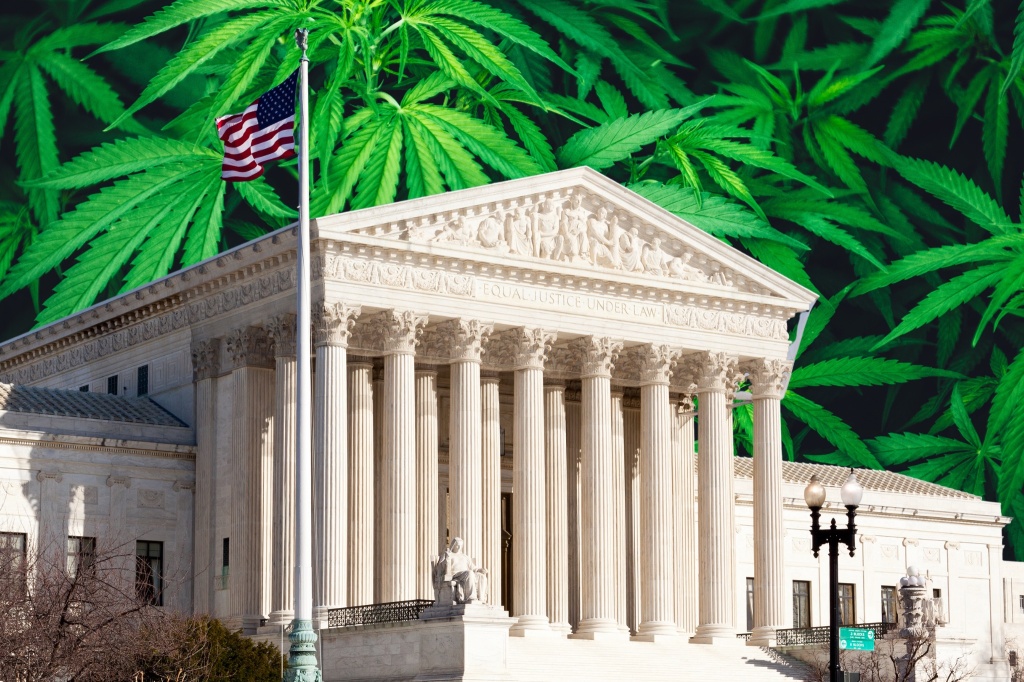 supreme court cannabis leaves supreme court ruling on cannabis guns case