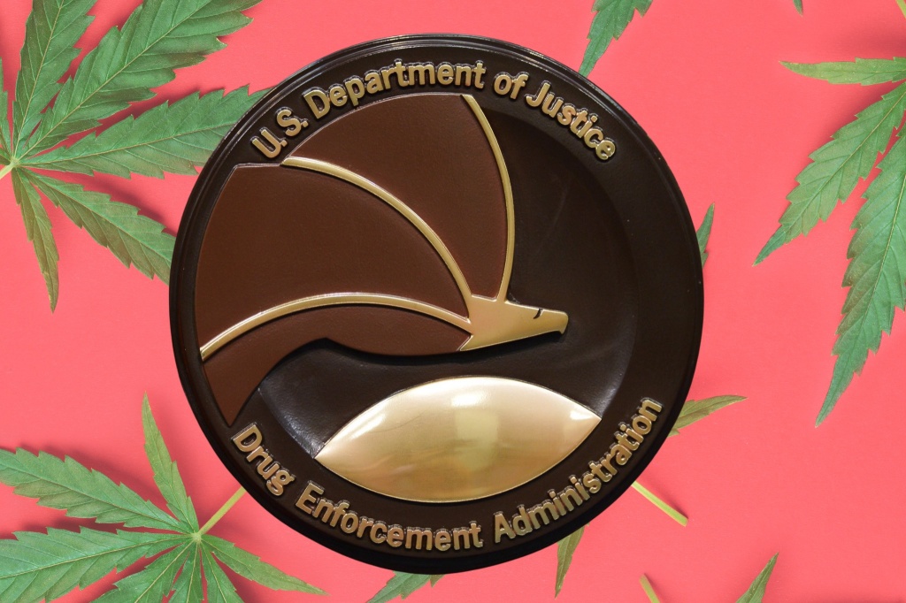 dea logo over cannabis leaves dea cannabis hearings