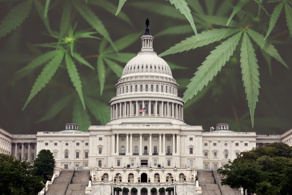 congress with cannabis leaves behind hemp amendments filed
