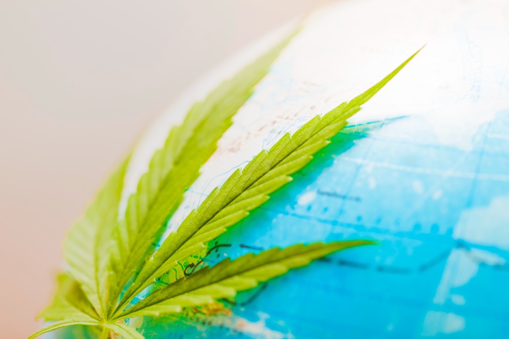 globe with cannabis leaf representing UN cannabis report