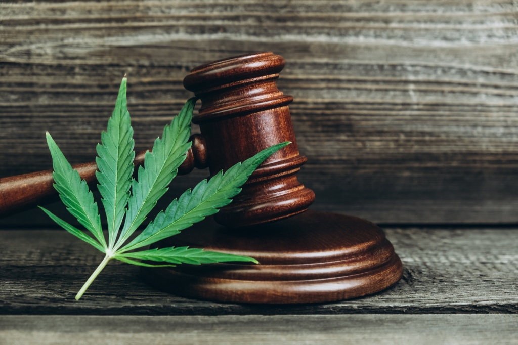 gavel with cannabis leaf representing dea cannabis hearings answer