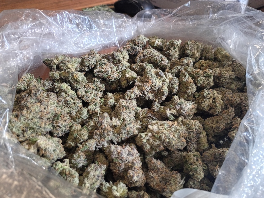 large bag of fig farms cannabis flower
