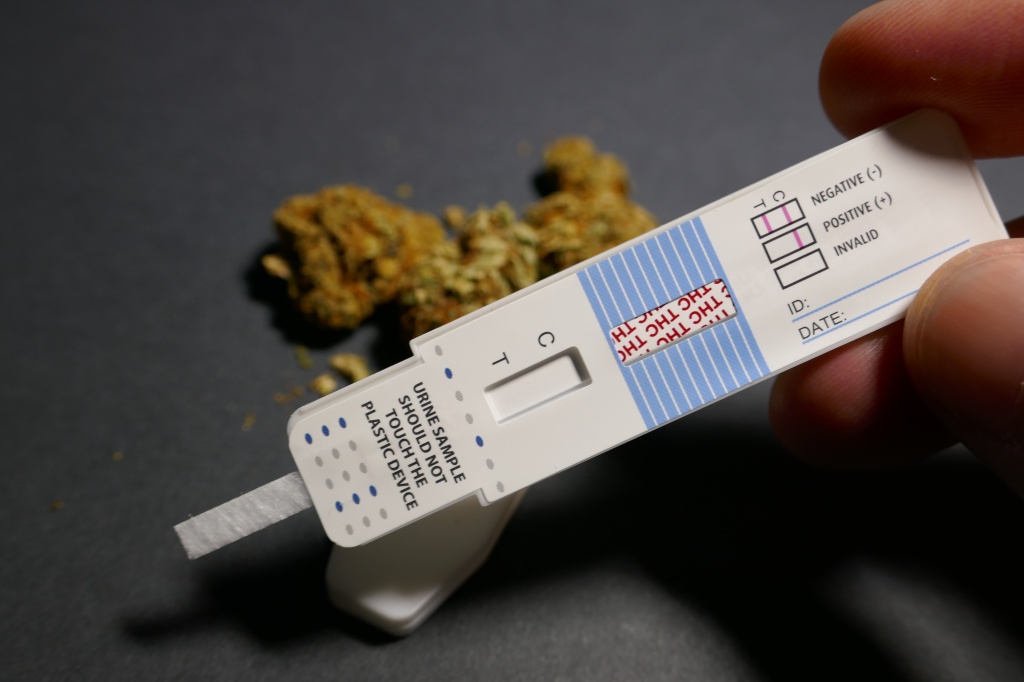 pre-employment cannabis testing