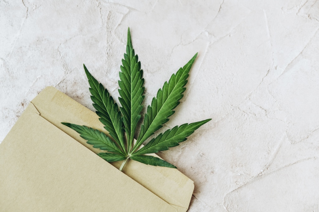 cannabis leaf coming out of envelope to represent medical marijuana mail georgia