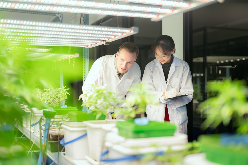 two people in cannabis lab representing cannabis workforce training