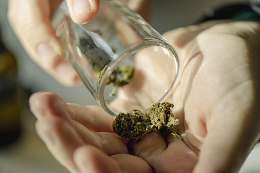 hand pouring cannabis bud representing older adult cannabis use