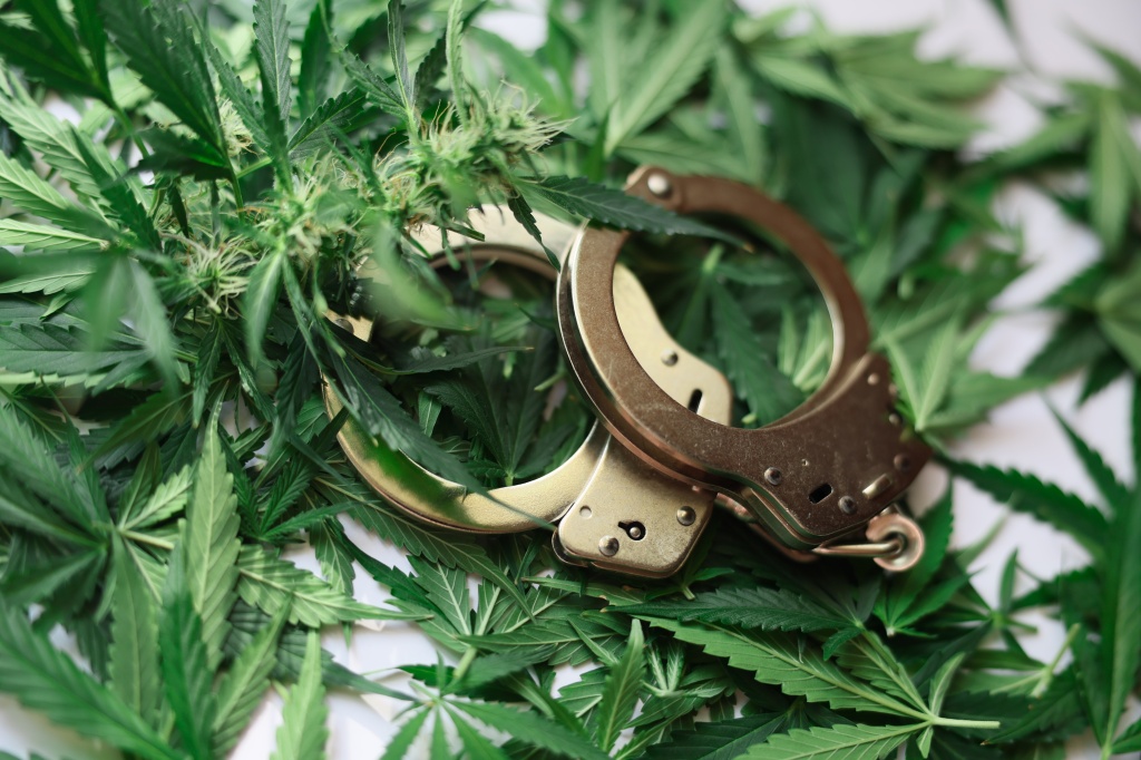 handcuffs on marijuana representing cannabis arrests