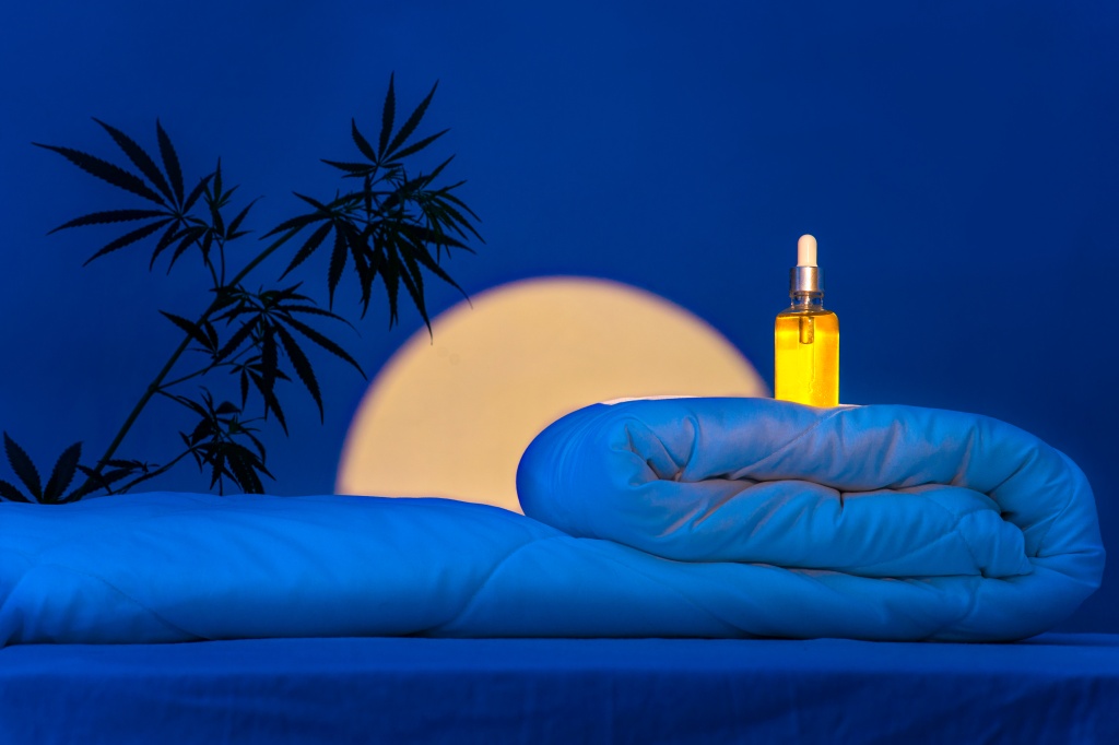 cannabis plant with blanket representing thc ptsd nightmares study