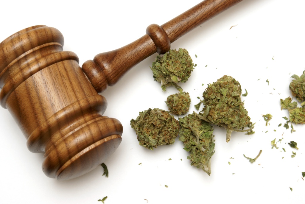 gavel and cannabis buds representing full cannabis rescheduling