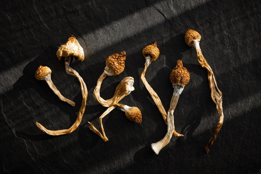 psilocybin mushrooms used in study for lyme disease