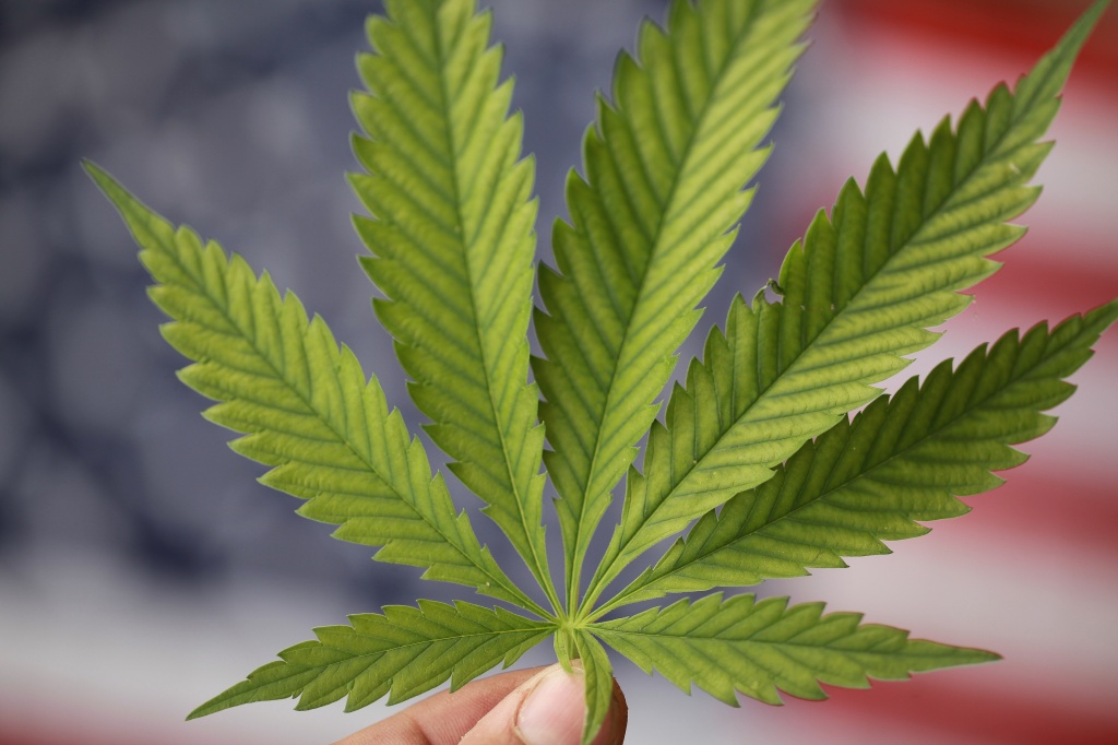 hemp leaf over american flag representing delay of federal hemp crackdown
