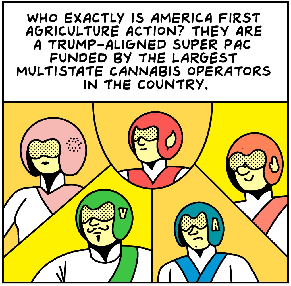 Legalization Nation 306 panel 1