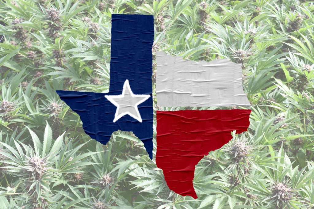 texas state flag on cannabis representing texas thc laws