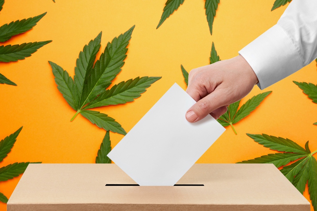 voting in ballot box over cannabis leaves to represent massachusetts cannabis repeal