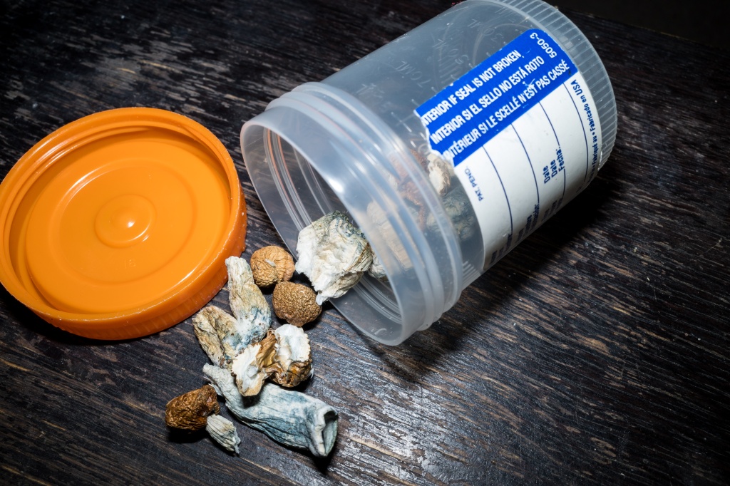 psilocybin mushrooms in prescription bottle representing fda psychedelics hearing