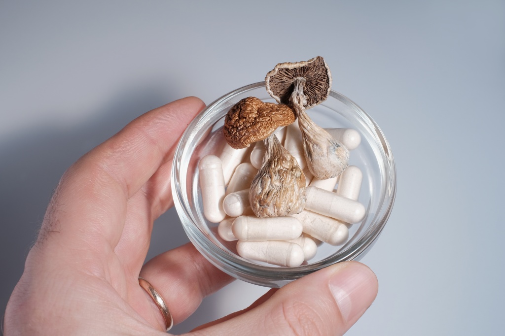 psilocybin mushroom and capsules representing oregon psilocybin study