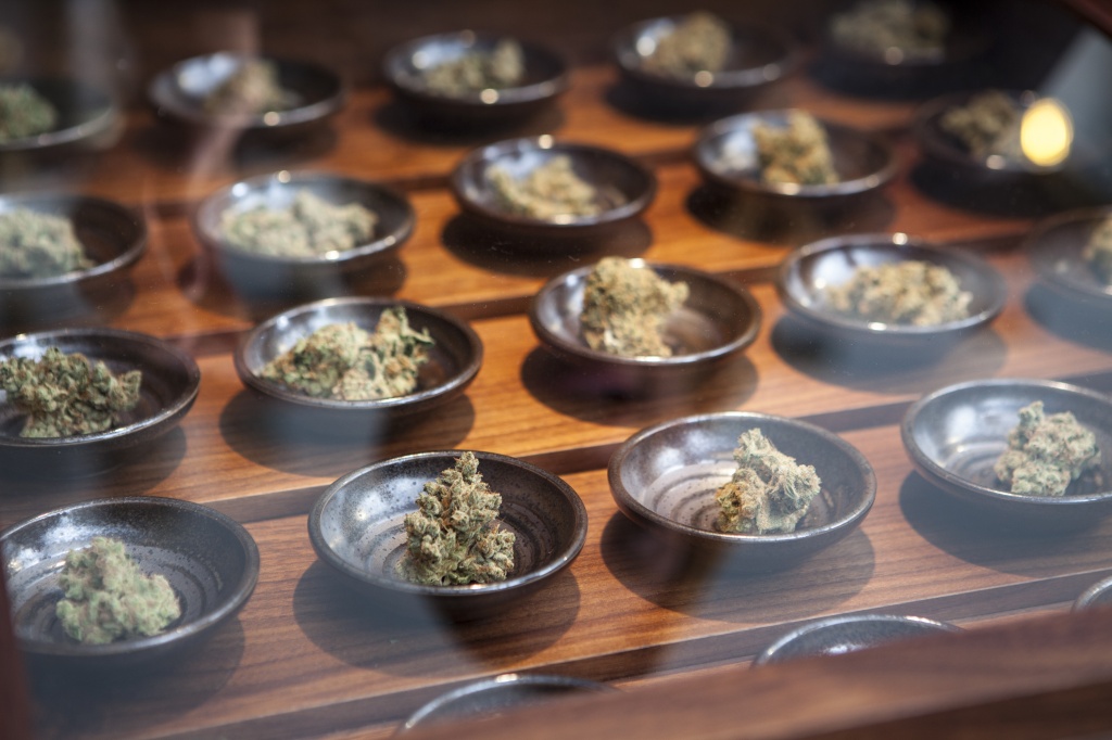 cannabis in a dispensary to represent question 8 massachusetts
