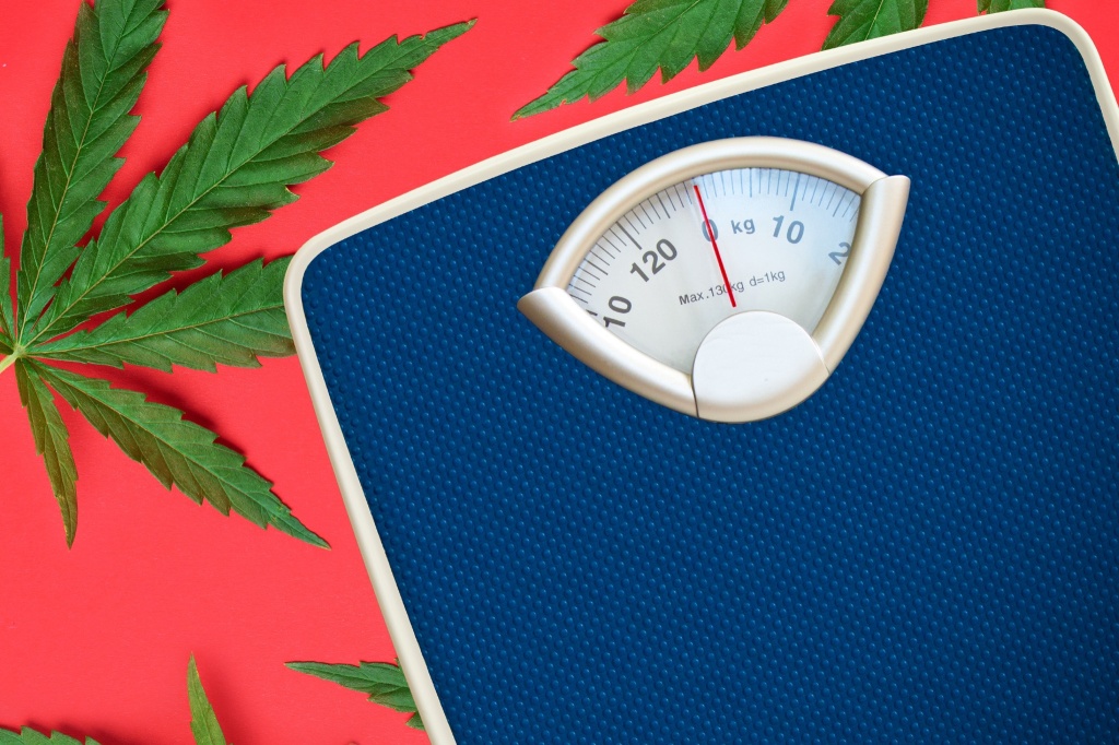 scale over cannabis plants to represent weed users weigh less