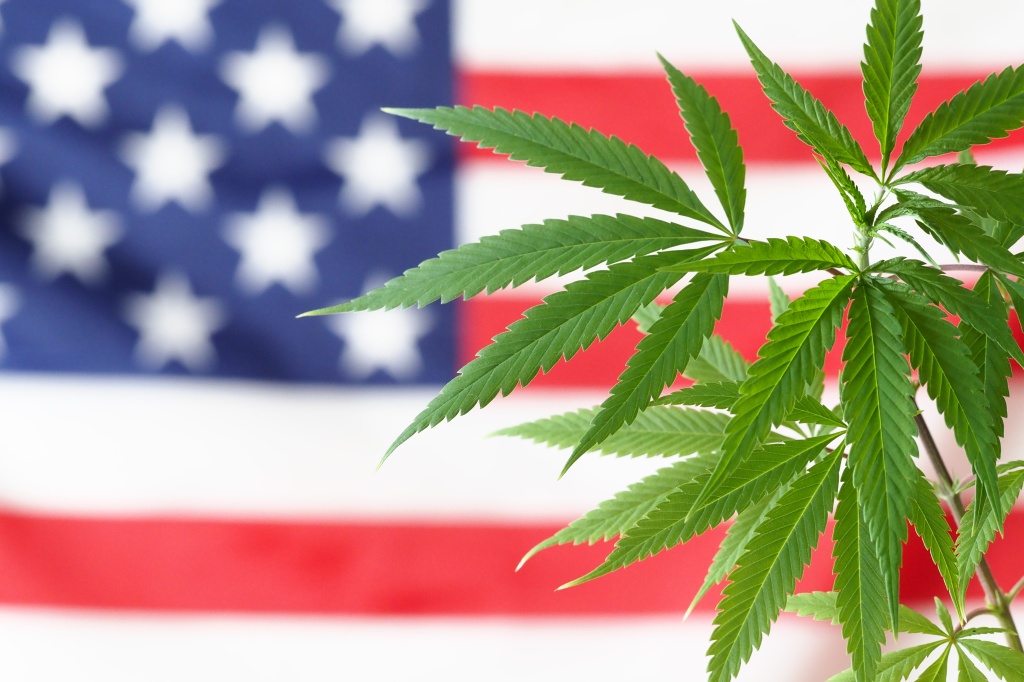 cannabis over american flag representing hemp regulation bill