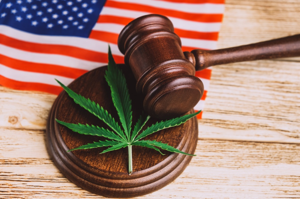 gavel over cannabis leaf and american flag representing DEA medical cannabis registrations