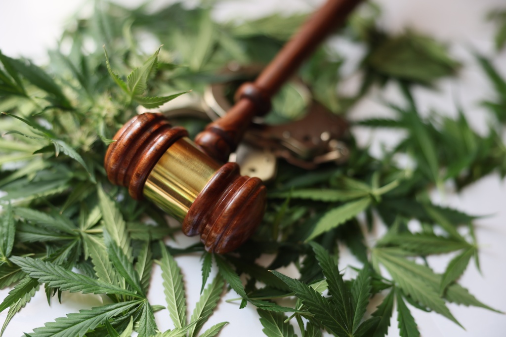 gavel over cannabis leaves representing cannabis rescheduling update
