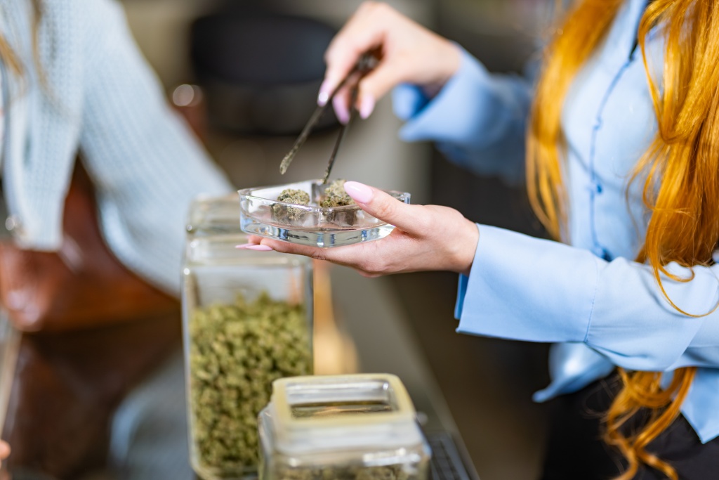 cannabis worker weighing out cannabis