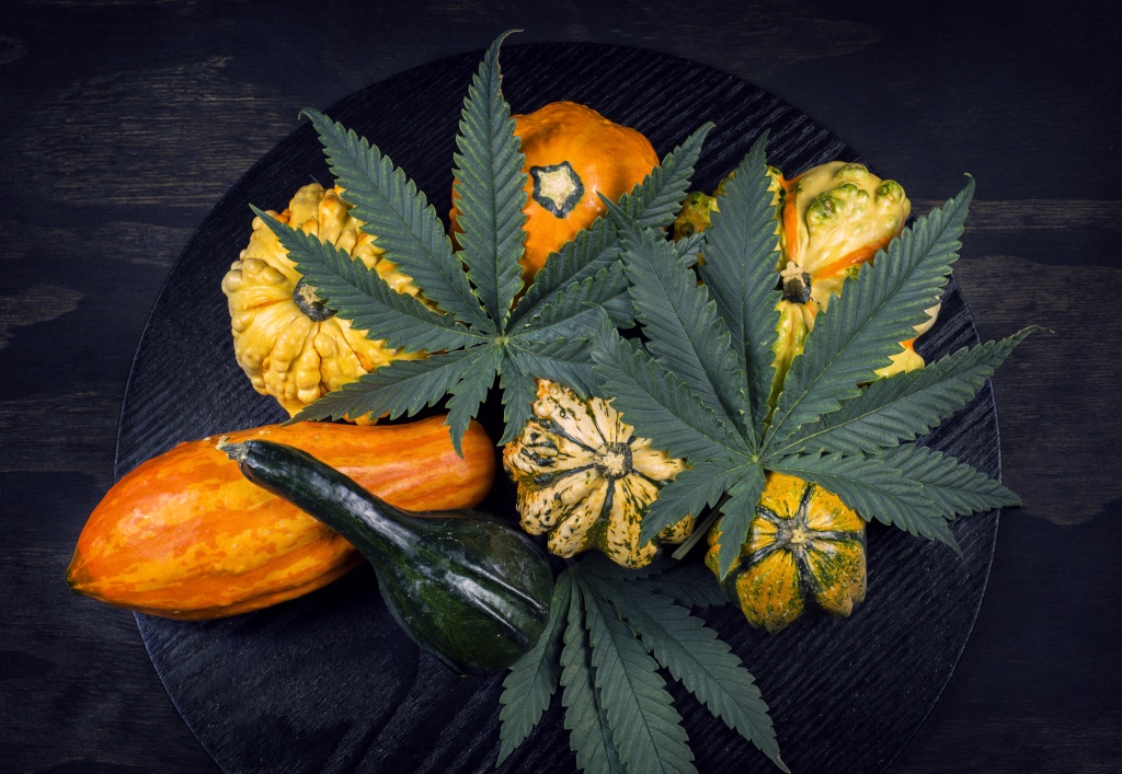 gourds and cannabis leaves