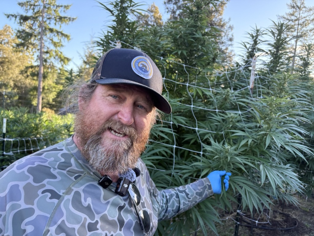 mark greyshock shows off a cannabis plant