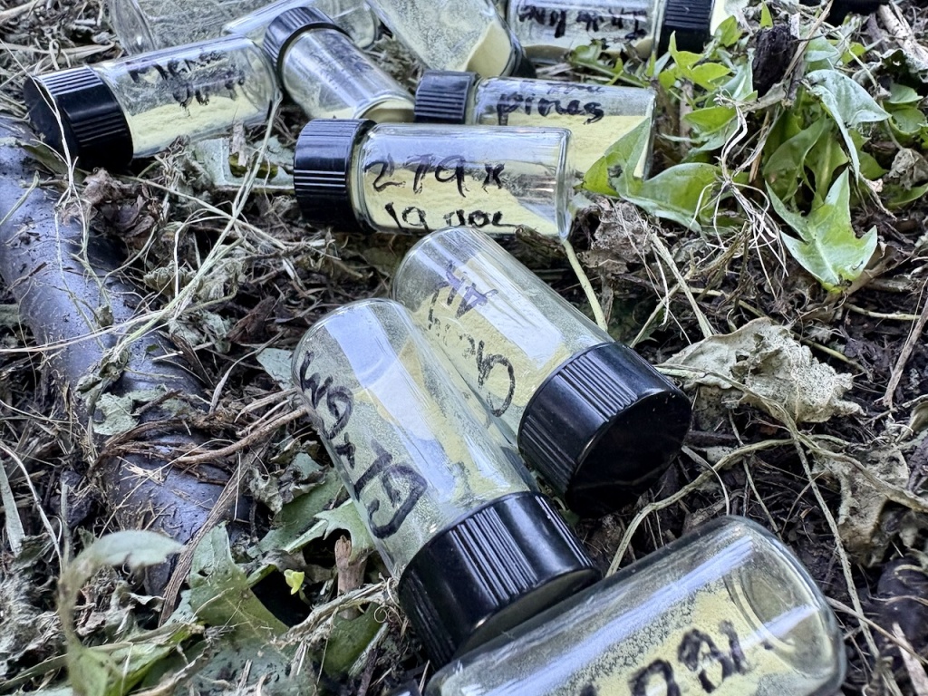 vials of cannabis pollen