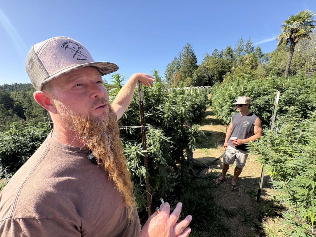 ted blair of california outdoor cannabis farm Canna Country
