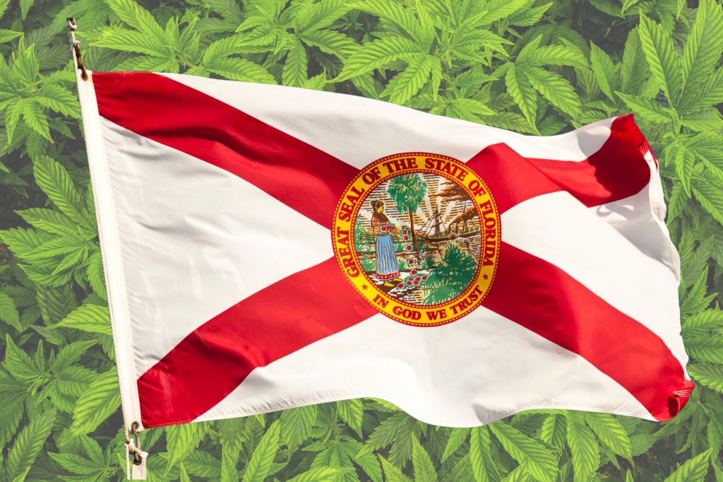 florida flag over cannabis leaves legalization campaign